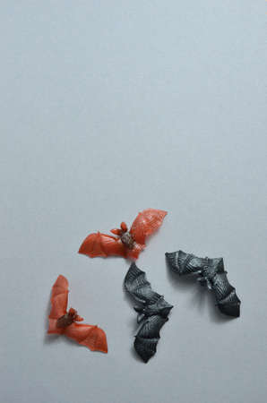 Halloween background - decorative bats on a light gray backgroundの写真素材
