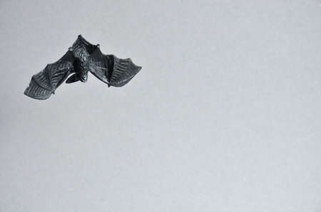 Black decorative bat on a gray background. Halloween