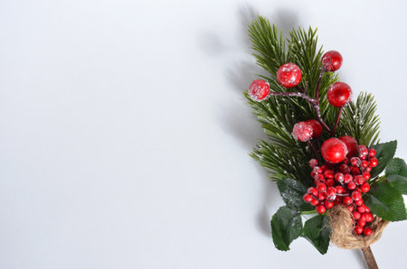 Christmas fir branch on a white backgroundの写真素材