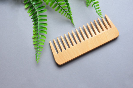 Hair comb. Green fern. Gray background.の写真素材