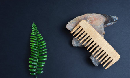 Comb and sea stones on a black background. Green fernの写真素材