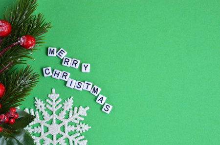 New Year's branch with berries and a snowflake on a green background. Inscription Merry Christmasの写真素材