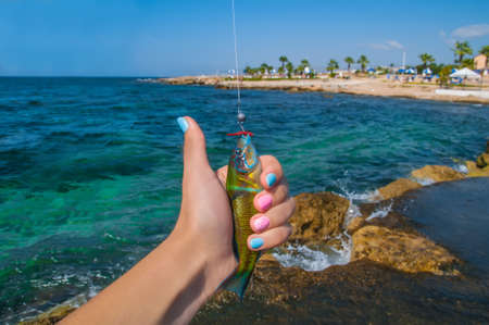Woman's hand with fish against the seashoreの写真素材