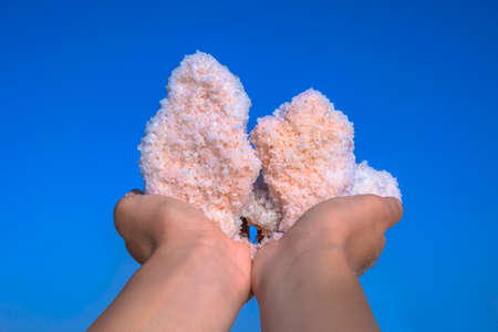 Pink salt crystals in hands from Sivash lake. Spa, medicine dermatology background.の写真素材