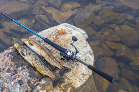 Caught brown trout fish and fishing tackle on river stone