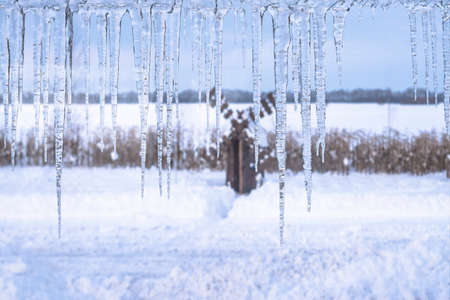 Winter icicles hang from top on snowy nature backgroundの写真素材