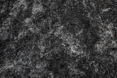 Texture burnt grass. Black background of scorched earth after spring fire.