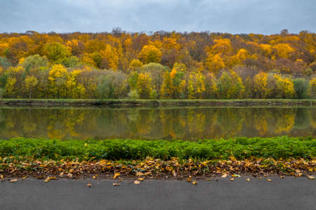 Lines in nature. Autumn colorful park. Overcast sky, yellow forest, mirror lake, green grass, fall fallen leaves, dark gray asphalt walkwayの写真素材