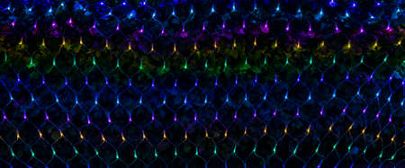 Colorful evening lighting of bushes. Night festive illuminated decoration. Christmas lights lamps
