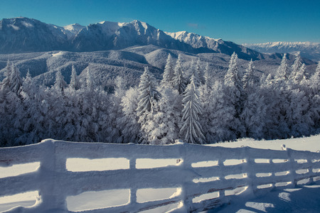 landscape winter in mountains fence and fir tree and snowy