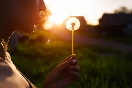 Close-up of girl with dandelion at sunsetの写真素材