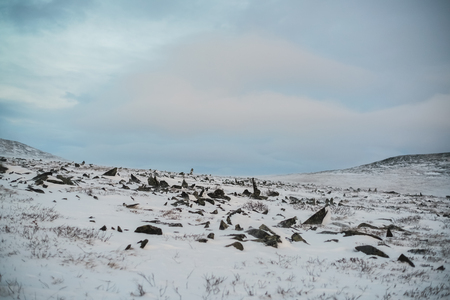 Landscape of dramatic desert of Siberian north.の写真素材