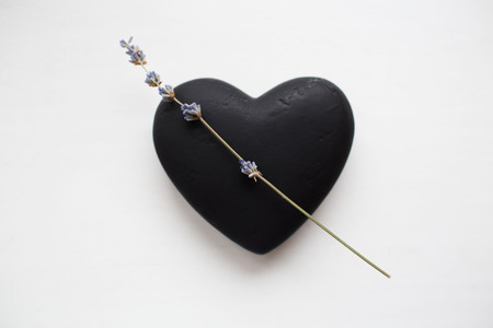 Valentines day background. Black textured heart and lavender flower isolated on white.の写真素材