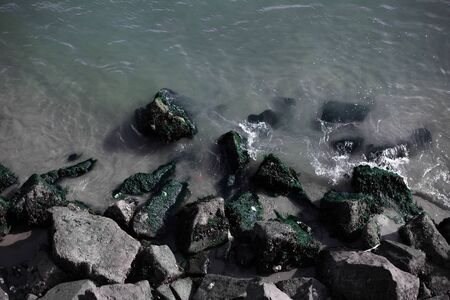 Top view of different stones on sea shore.の写真素材