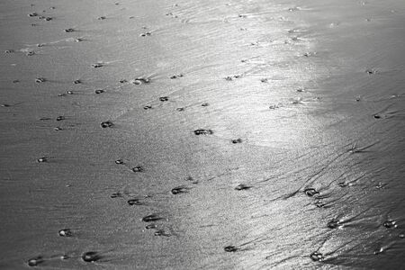 Wet sand with shells on the beach.の写真素材