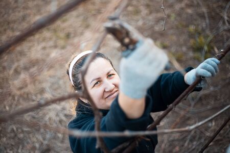 Portrait of woman gardening some plants of vineyard.