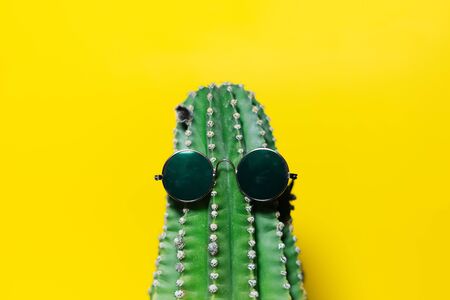 Close-up portrait of green cactus wearing sunglass, isolated on background of yellow color.の写真素材