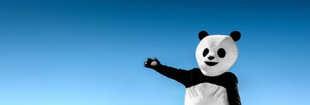 Panoramic portrait of man in costume of panda, showing with hands on empty space, on background of blue sky.の写真素材