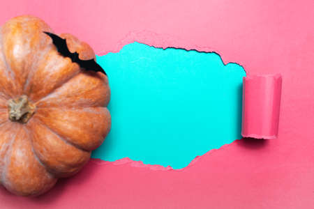 Torn hole in pink paper with empty background of cyan color, space for text near orange pumpkin with black bat.の写真素材