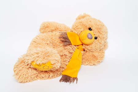 Toy of teddy bear lying on white studio background.の写真素材