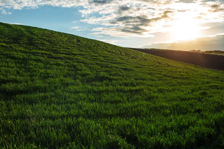 Natural landscape of green field on background of sunset and blue cloudy sky. Nature concept.の写真素材