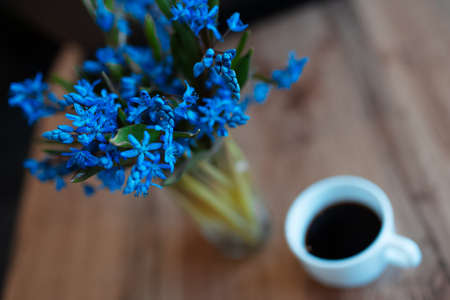 Top view close-up of blue violets flowers on background of blurred wooden table near cup of coffee.の写真素材
