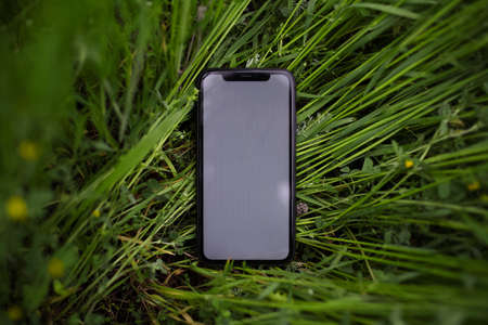 Close-up of smartphone with mockup in green grass. Top view.の写真素材