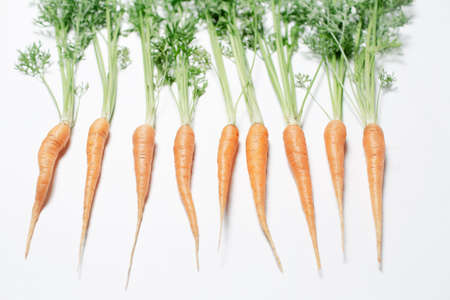 Studio photo of small carrots with green tops, lying on the white background.の写真素材