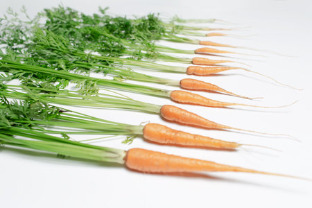 Close-up of small fresh carrots on white background.