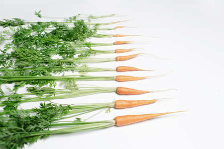Close-up of small carrots on white background.
