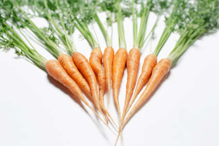 Close-up of small freshness carrots on white studio background.