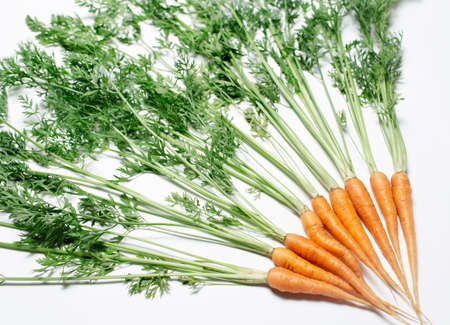 Fresh carrots on white table, close-up top view.の写真素材