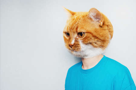 Cat's head on male body in blue, textured grey background with copy space.の写真素材
