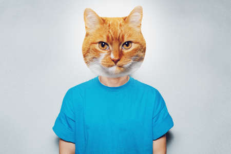 Male body with cat's head. Confident expression. Contemporary artwork collage.の写真素材