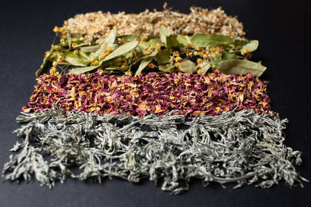 Studio picture of dried herbs arranged in the line, on the dark background.