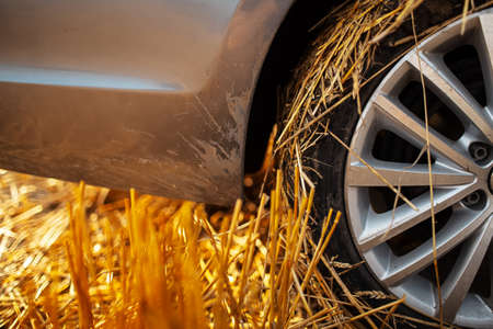 Close-up of dirty car wheel with dry grass and mud.の写真素材
