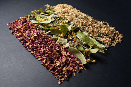 Studio photo of dried herbs arranged in the line, on the dark background.の写真素材