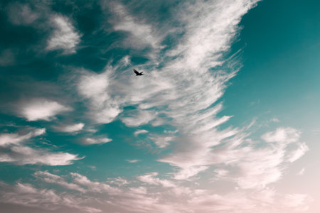 Beautiful and colourful landscape of sunset or sunrise with white clouds, blue green sky with pastel...
