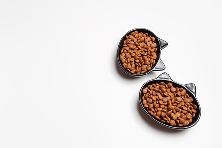 Dry food in black ceramic bowl in shape of cat with ears, isolated on white background.の写真素材