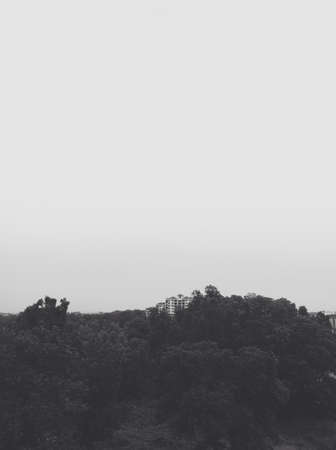 Haze in the cityの素材