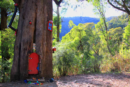 Treehouseの写真素材