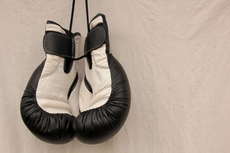 Fighting Glovesの写真素材