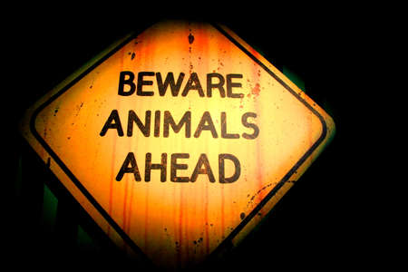 beware animals aheadの写真素材