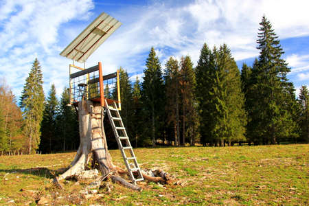 High chair for a hunterの写真素材