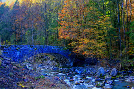 bridge over a river at autumnの写真素材