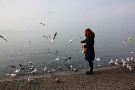 Feeding the birdsの写真素材