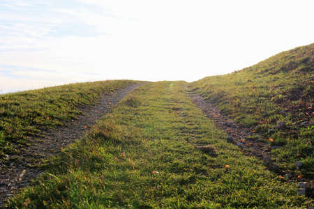 Path Into The Lightの写真素材