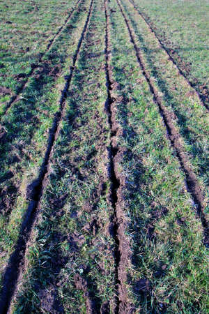 meadow ready for plowingの写真素材