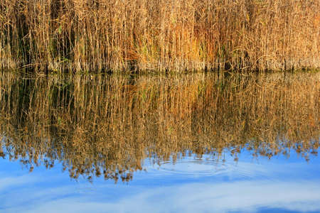 waterreflectionの写真素材