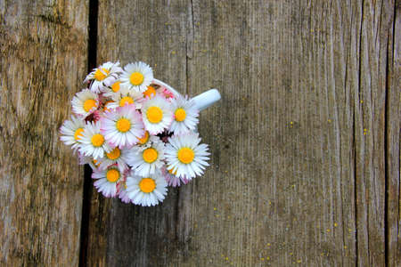 Daisies on a wooden backgroundの写真素材